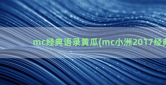 mc经典语录黄瓜(mc小洲2017经典语录2)